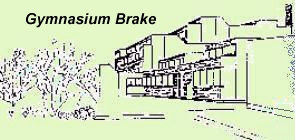 Gymnasium Brake